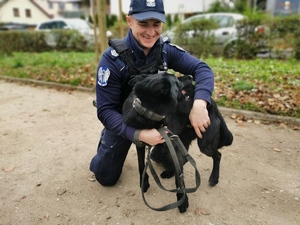 policyjny przewodnik z psem